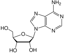 adenozin-gorseli